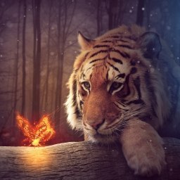 ���� �������, ������� - ��������� 25 ���� 2019