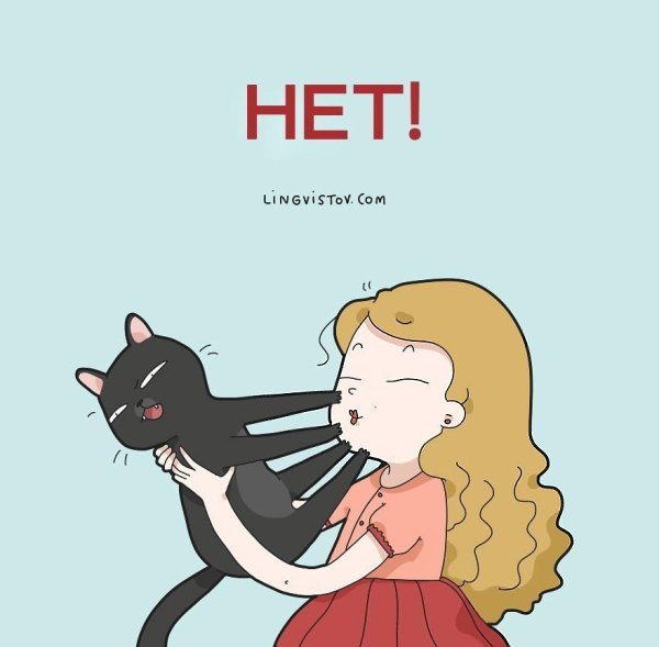 Жизнь с котом — это: by Lingvistov #настроение@ican - 6