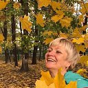 ���� �����, ������, 66 ��� - ��������� 14 ������� 2019 � ������ ���� ����������