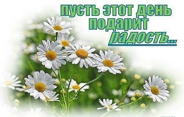   ,    . - 29  2019  22:50