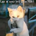 ���� ������, ������ - ��������� 16 ������� 2019 � ������ ���� ����������