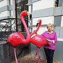 ���� �����, ������, 73 ���� - ��������� 18 �������� 2019 � ������ ���� ����������