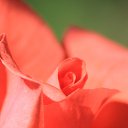 ���� �������, �����������, 45 ��� - ��������� 28 ���� 2019 � ������ ������ ��������