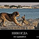 ���� ������, �������, 57 ��� - ��������� 23 ��� 2019 � ������ ������ ��������