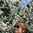 ���� �����, ������, 58 ��� - ��������� 13 ��� 2019 � ������ ���� ����������