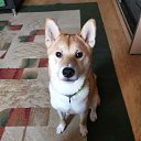 ���� ����, ������, 37 ��� - ��������� 2 ������ 2020 � ������ ���� ����������