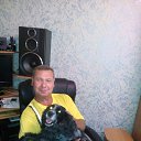 ���� �����, �����������, 46 ��� - ��������� 7 ���� 2019