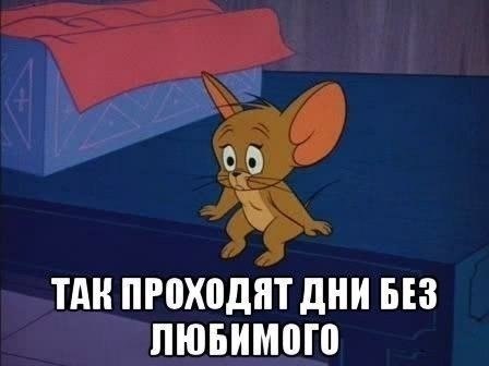    - 16  2019  18:17