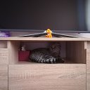 ���� �������, �����������, 48 ��� - ��������� 9 ���� 2019 � ������ ���� ����������