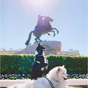 ���� �������, �����-��������� - ��������� 6 �������� 2019 � ������ ���� ����������