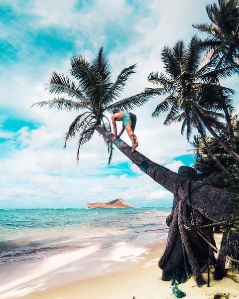 a ppoa.. Hawaii