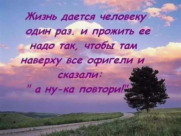   ! - 20  2019  12:56
