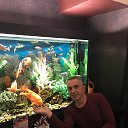 ���� ��������, �����-���������, 55 ��� - ��������� 19 ��� 2019 � ������ ���� ����������