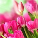 ���� ����, ������� - ��������� 22 ���� 2019 � ������ �������