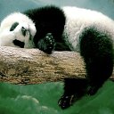 ���� Lev, ������ - ��������� 25 �������� 2019 � ������ ���� ����������