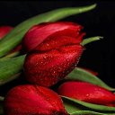   ....., , 42  -  9  2019