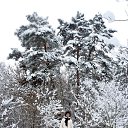 ���� �. �� �������, ������ �����, ��������� - ��������� 3 ���� 2019 � ������ ���� ����������