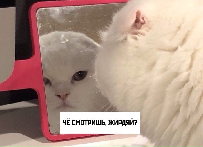 �, ������ ��, �� �� ���, ���� ����� ����� �����������
