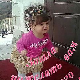���� A�, ������, 48 ��� - ��������� 16 ���� 2019
