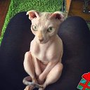 ���� Tatiana, �������, 85 ��� - ��������� 29 ������ 2019