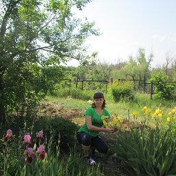 �����, �������, 36 ���