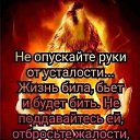 ���� ������, ���������, 48 ��� - ��������� 7 ������ 2019 � ������ ������ ��������