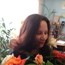 ����, ���������, 49 ���