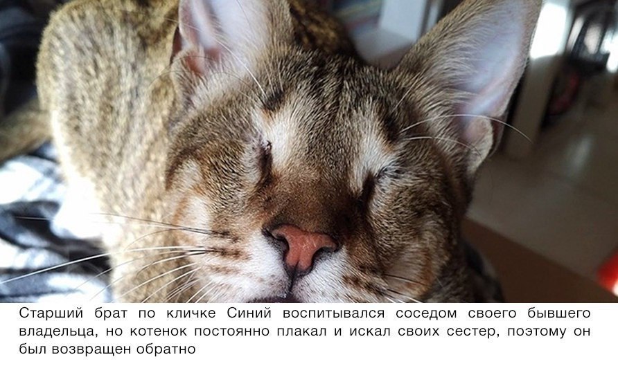    ,     ,       ... - 3