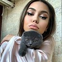 ���� ���, ����������� - ��������� 4 ������ 2020 � ������ ���� ����������