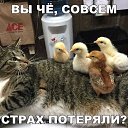 ���� Grus, �������� - ��������� 2 ������� 2019 � ������ ��������