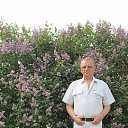 ���� ���������, �����, 75 ��� - ��������� 15 ���� 2019 � ������ ���� ����������