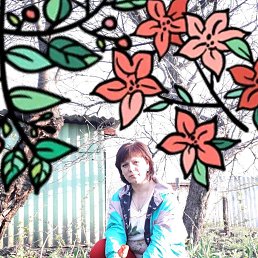 ���� ������, ������, 48 ��� - ��������� 13 ��� 2019