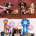 ���� �����, ������, 74 ���� - ��������� 22 ������ 2019 � ������ ���� ����������