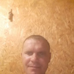 ���� ���������, ��������, 43 ���� - ��������� 19 ���� 2019