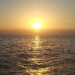 �����, ������, 49 ���