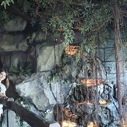 ������, ������, 33 ����