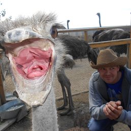 ����, ������������, 42 ����