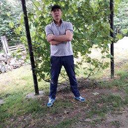 �����, ������-��-����, 48 ���