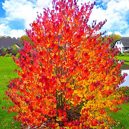 ������� ������� - 14 ���� 2019 � 16:54