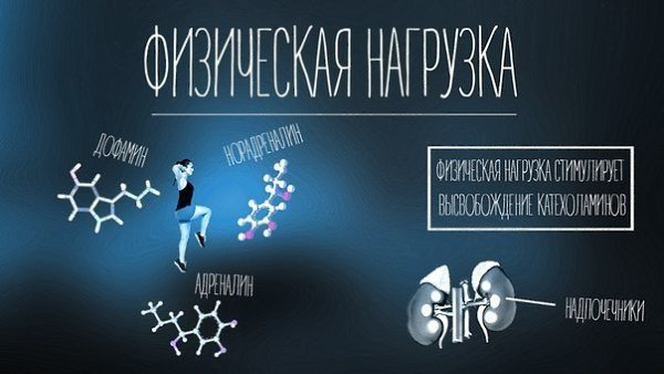 Нейробиологические советы по поднятию настроения. - 3