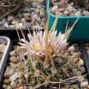 ���� ������, ��������, 55 ��� - ��������� 16 ��� 2019 � ������ ������ ��������