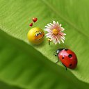  ,  , 68  -  31  2019    