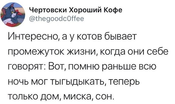 � ����� ���� �����, ������� �������� �������� ��������