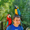 ���� �������, �����, 36 ��� - ��������� 5 ������� 2019