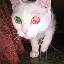 ���� ������, �����������, 29 ��� - ��������� 14 �������� 2019 � ������ ���� ����������