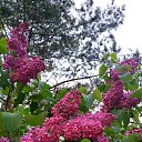 ���� Galina, �������, 59 ��� - ��������� 16 ��� 2019 � ������ ���� ��������