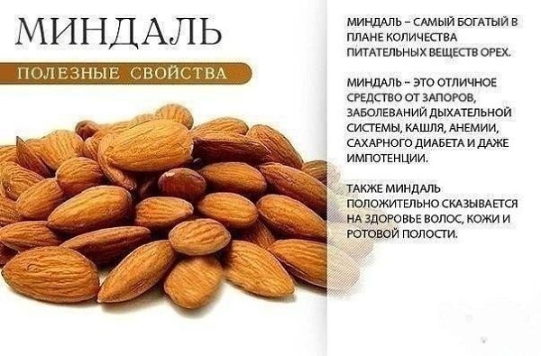 Немного о пользе сухофруктов и орехов. А какие ваши любимые? #советы@ican - 2