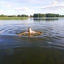 ���� ������, �������, 52 ���� - ��������� 24 ���� 2019 � ������ ���� ����������