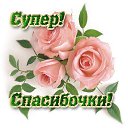 ���� ����, ������� - ��������� 8 ���� 2019 � ������ ���� ����������