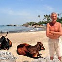 ���� �������, �����������, 65 ��� - ��������� 15 ��� 2019